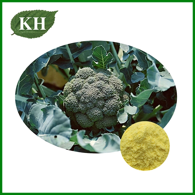 Broccoli Extract Powder Broccoli Extract Powder